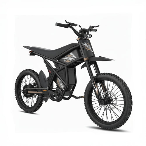 Ridingtimes GT73 Pro Electric Motobike